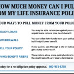 How much money can I pull from my life insurance policy? This infographic chart explains the ways to access cash from life insurance.